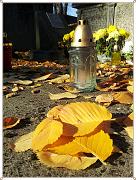 2011-11-04 11.56.40